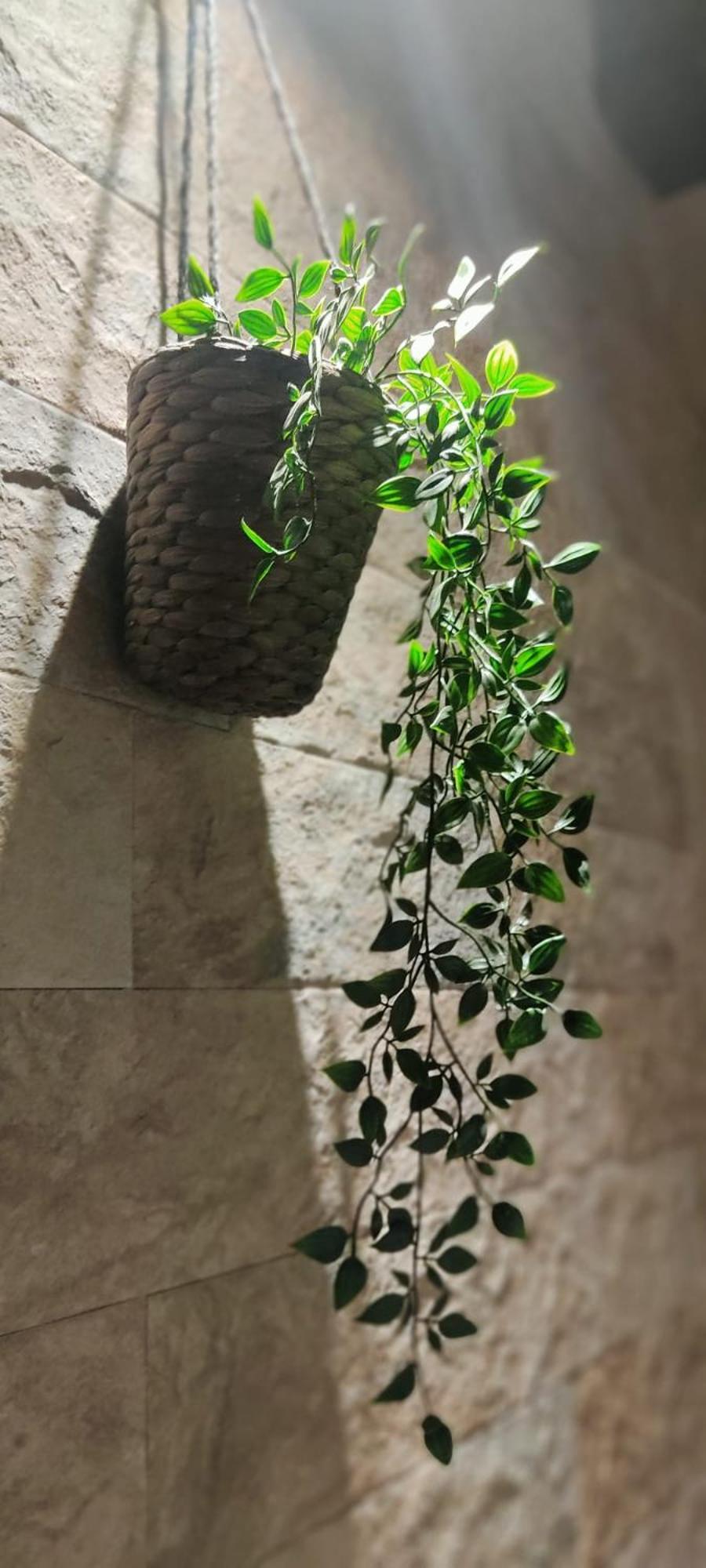 Dimora Al Saraceno Hotel Ferrara Bagian luar foto